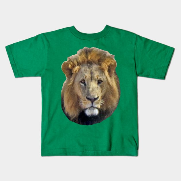 Lion Kids T-Shirt by ellenhenryart